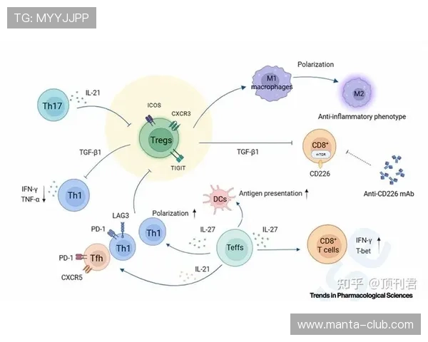 国际亚游K8在国际市场的战略布局与未来发展规划全面揭示行业领先地位